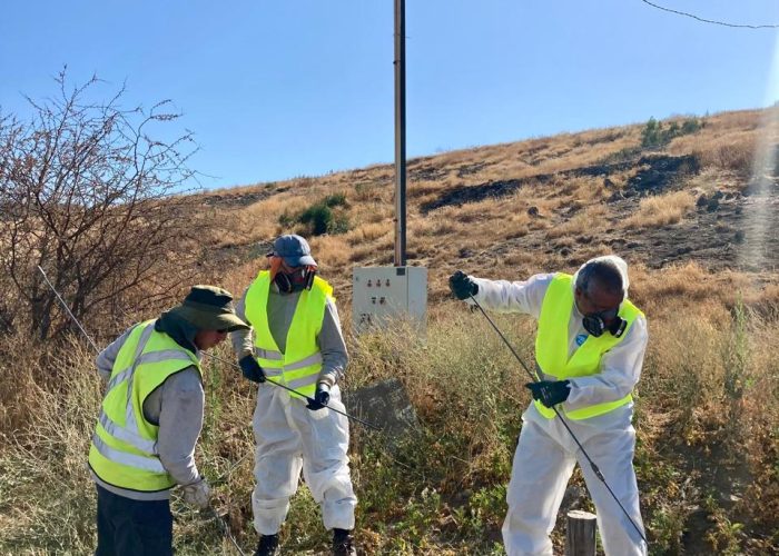 WhatsApp Image 2025-02-17 at 22.50.48