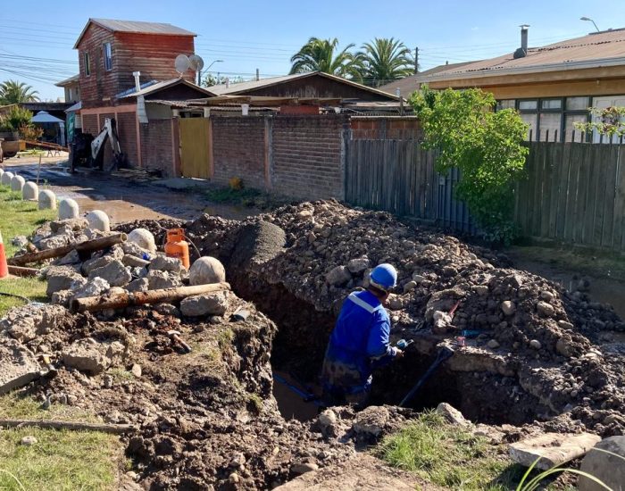 WhatsApp Image 2025-02-17 at 23.56.28